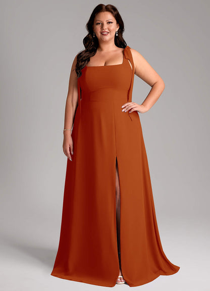 Debra-AZ12565873